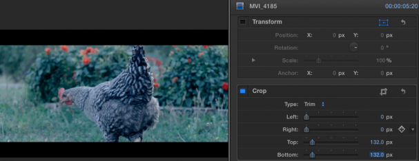 How to Achieve Widescreen 2.35 Video in FCPX and Remove Black Bars From